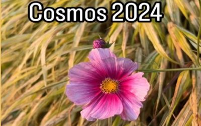 Cosmos 2024